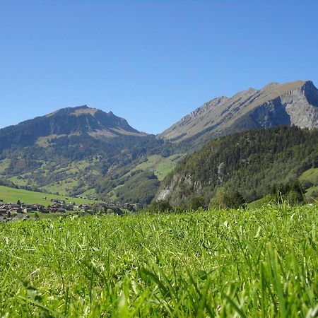 Hotel Haus Alpina Au (Vorarlberg) Exteriér fotografie